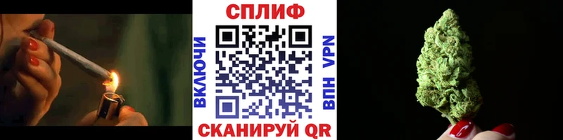 Купить закладки  Звенигово  Бошки марихуана марихуана 